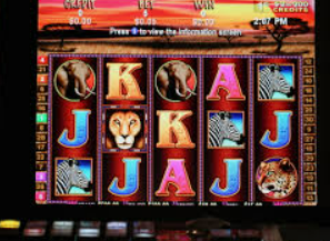 鲸鱼体育客户端