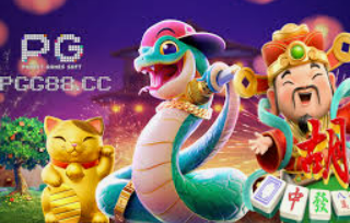 鲸鱼体育电脑免费版