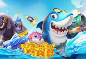 鲸鱼体育最新版