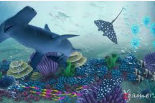 鲸鱼体育桌面版客户端